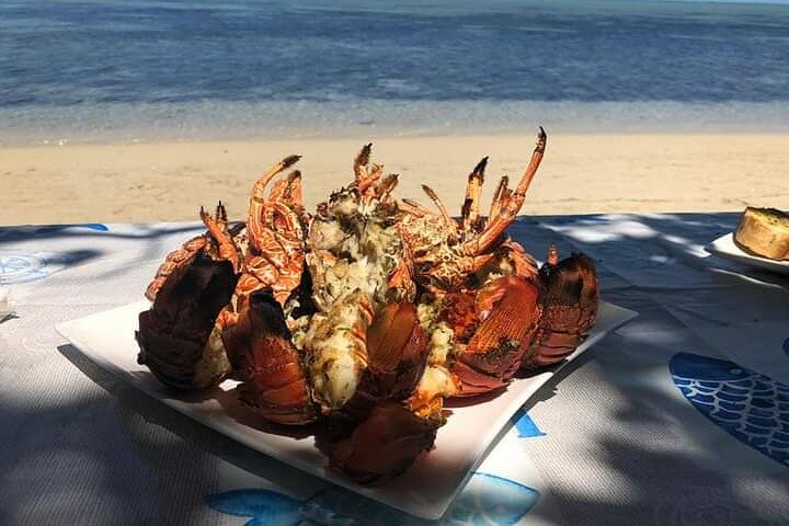 Tour ecologico di avvistamento delfini e balene con barca privata e BBQ sulla spiaggia a Mauritius, foto 22 | wizardtrip