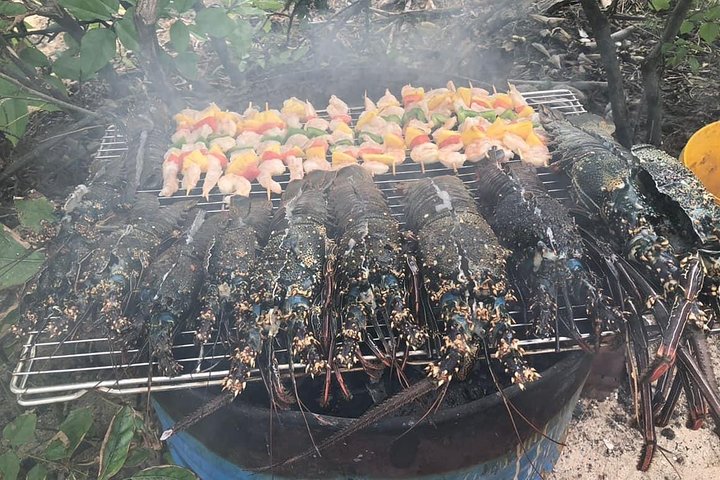 Tour ecologico di avvistamento delfini e balene con barca privata e BBQ sulla spiaggia a Mauritius, foto 23 | wizardtrip