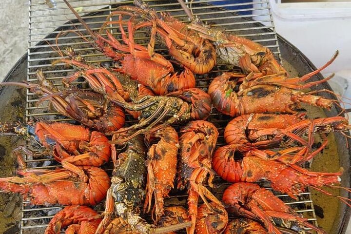 Tour ecologico di avvistamento delfini e balene con barca privata e BBQ sulla spiaggia a Mauritius, foto 25 | wizardtrip