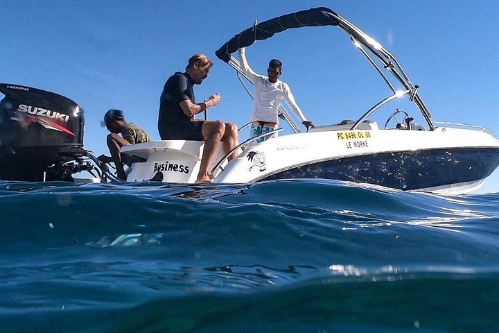 Tour ecologico di avvistamento delfini e balene con barca privata e BBQ sulla spiaggia a Mauritius, foto 28 | wizardtrip