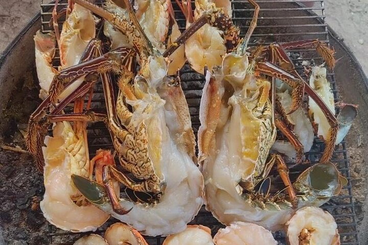 Tour ecologico di avvistamento delfini e balene con barca privata e BBQ sulla spiaggia a Mauritius, foto 32 | wizardtrip