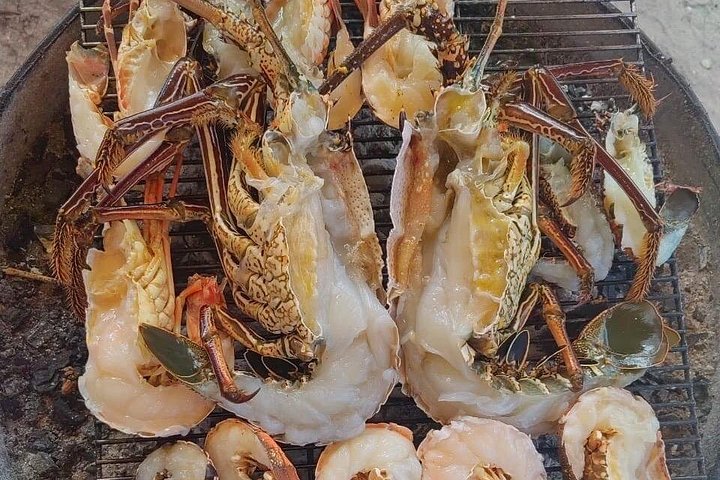 Tour ecologico di avvistamento delfini e balene con barca privata e BBQ sulla spiaggia a Mauritius, foto 38 | wizardtrip
