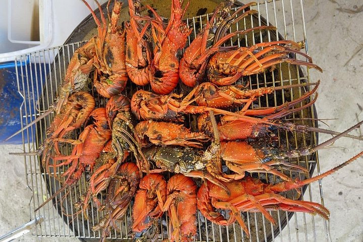 Tour ecologico di avvistamento delfini e balene con barca privata e BBQ sulla spiaggia a Mauritius, foto 41 | wizardtrip