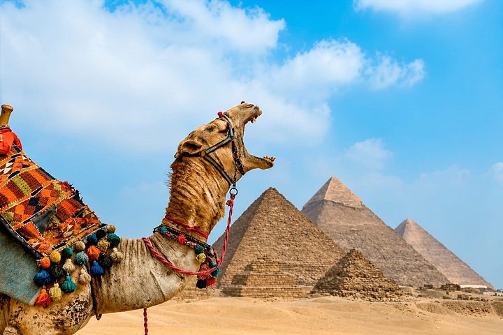 Privat tur till Gizaplatån med kamelritt och guide i Kairo, Egypten, foto 37 | wizardtrip