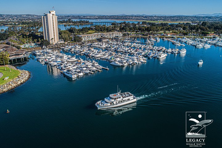 San Diego: 3-timmars valskådningstur med Legacy Whale Watch | wizardtrip
