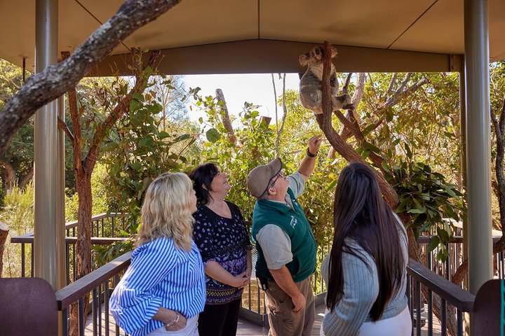 Rundtur bakom kulisserna på Taronga Zoo Sydney med australisk djurliv, foto 6 | wizardtrip