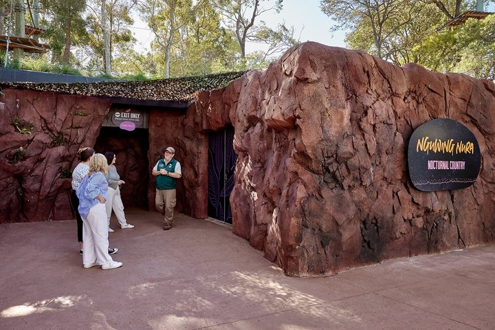 Rundtur bakom kulisserna på Taronga Zoo Sydney med australisk djurliv, foto 7 | wizardtrip