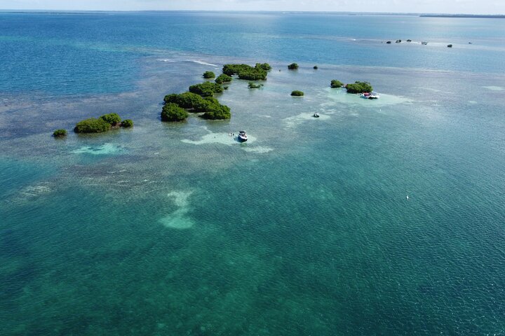 Crociera giornaliera alla scoperta delle mangrovie, isolotti e barriere coralline del Grand Cul-de-Sac-Marin della Guadalupa, foto 16 | wizardtrip
