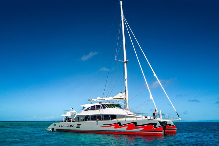 Crucero en catamarán por la Gran Barrera de Coral Passions of Paradise | wizardtrip