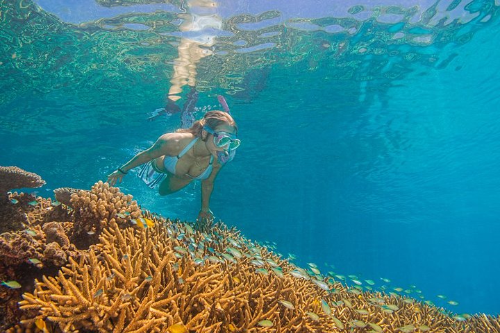 Catamarano che naviga nella Grande Barriera Corallina, Cairns, Australia, foto 6 | wizardtrip