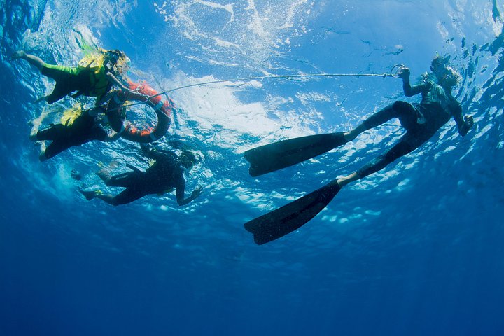 Catamarano che naviga nella Grande Barriera Corallina, Cairns, Australia, foto 8 | wizardtrip