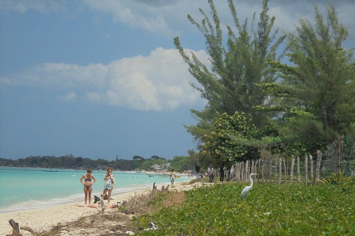 Privat flygplatstransfer från Montego Bay till Negril, Jamaica, foto 6 | wizardtrip