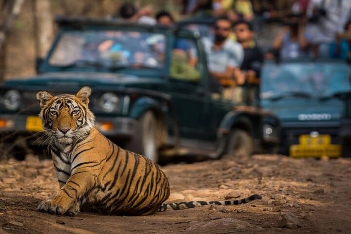 Triangle d'Or & Ranthambore : Tour Privé de 4 Jours depuis Delhi | wizardtrip
