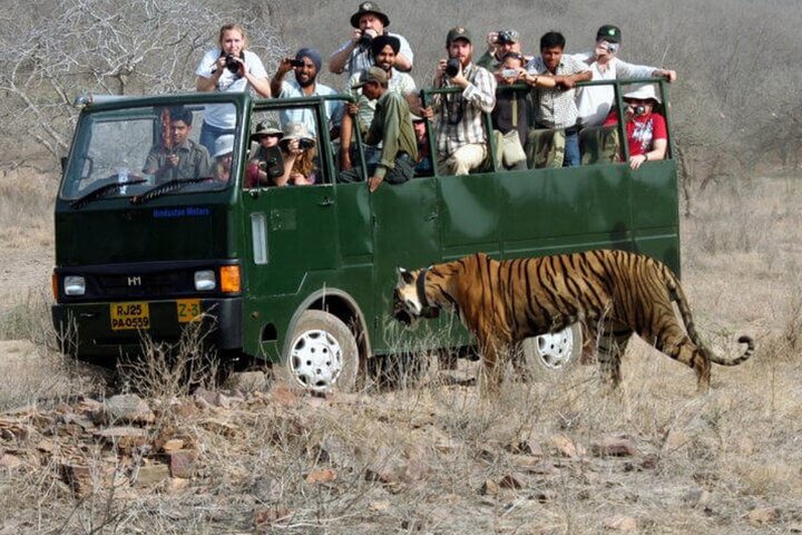 Un tour privato che esplora il Golden Triangle dell'India e il Parco Nazionale di Ranthambore, con safari nella fauna selvatica e monumenti iconici, foto 8 | wizardtrip