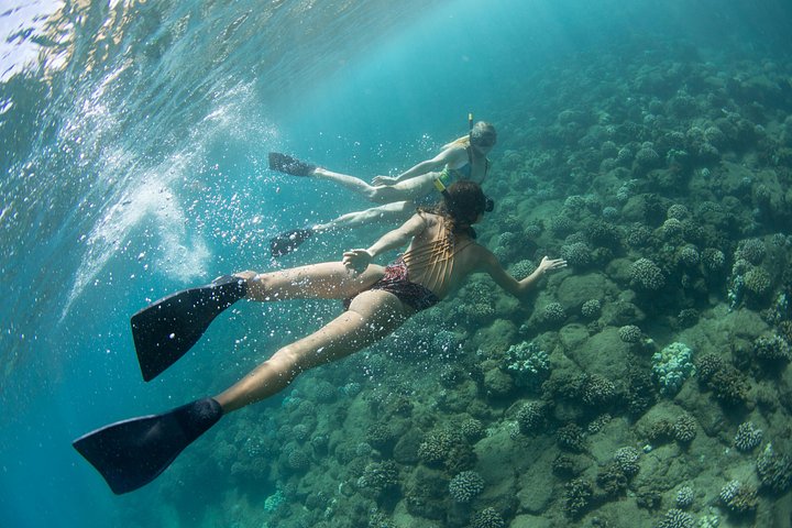 Catamarã a navegar ao longo da Costa Nāpali em Kauai, Havaí, com snorkeling e observação de vida selvagem, foto 7 | wizardtrip
