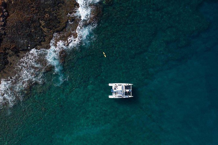 Catamarã a navegar ao longo da Costa Nāpali em Kauai, Havaí, com snorkeling e observação de vida selvagem, foto 13 | wizardtrip