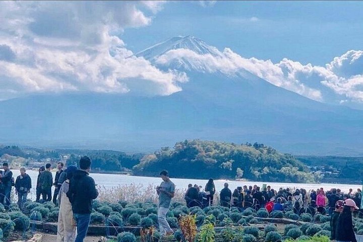 Privat dagstur til Fuji-bjerget fra Tokyo med tilpasselig rejseplan og engelsktalende chaufførguide, foto 12 | wizardtrip