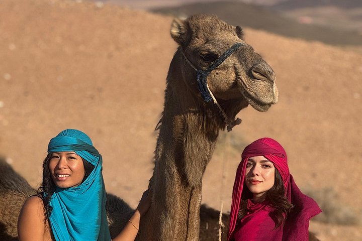 Passeio de camelo ao pôr do sol no Deserto de Agafay perto de Marraquexe, Marrocos, com jantar e show, foto 17 | wizardtrip