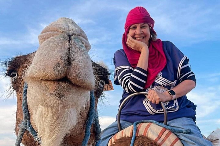 Passeio de camelo ao pôr do sol no Deserto de Agafay perto de Marraquexe, Marrocos, com jantar e show, foto 20 | wizardtrip