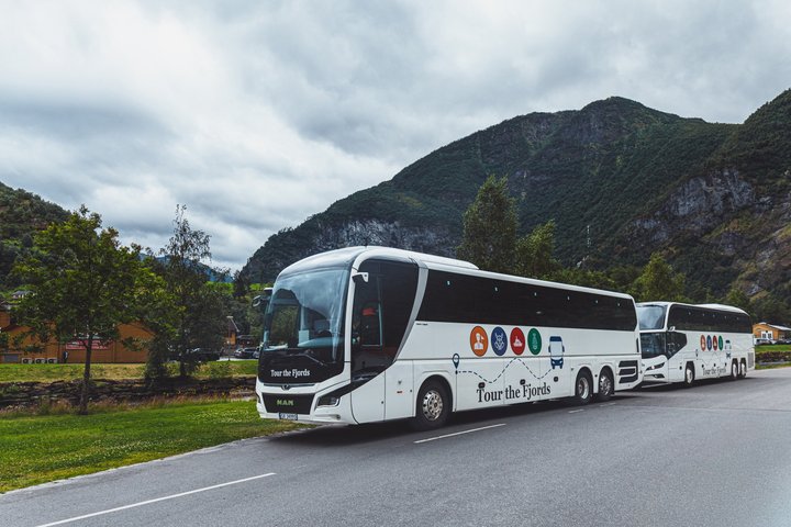 Cruzeiro cénico pelo fiorde, aldeia viking e viagem no Comboio de Flam na Noruega, foto 6 | wizardtrip