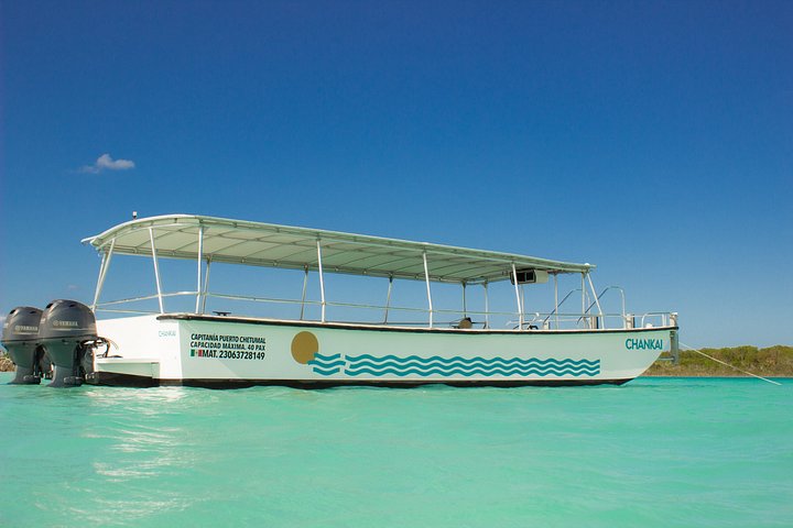 Boottocht over de Lagune van de Zeven Kleuren in Bacalar, Mexico, met bezoeken aan cenotes, foto 9 | wizardtrip