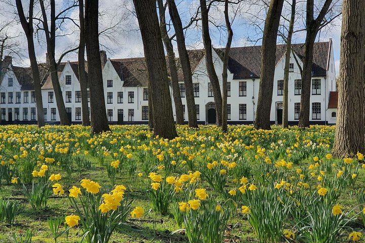 Geführte Tour durch Brügge mit Bootsfahrt auf Kanälen, historischen Gebäuden und Schokoladenverkostung, Foto 15 | wizardtrip