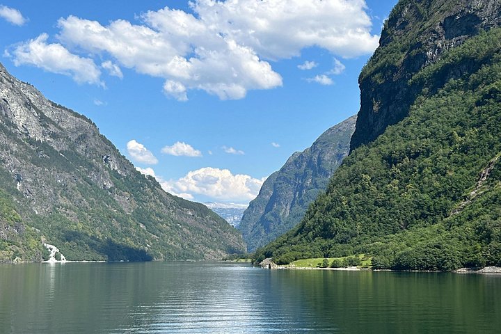 Scenic fjord tour from Bergen, Norway, featuring cruises and viewpoints, photo 15 | wizardtrip
