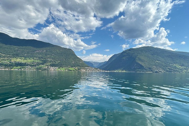 Scenic fjord tour from Bergen, Norway, featuring cruises and viewpoints, photo 19 | wizardtrip