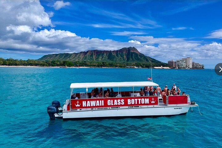 Båttur med glassbunn på Oahu, Hawaii, som viser marint liv og kystutsikt, foto 7 | wizardtrip