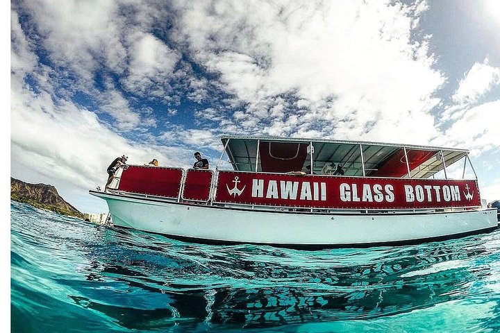 Båttur med glassbunn på Oahu, Hawaii, som viser marint liv og kystutsikt, foto 9 | wizardtrip