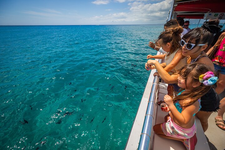 Croisière en bateau à fond de verre à Waikiki | wizardtrip