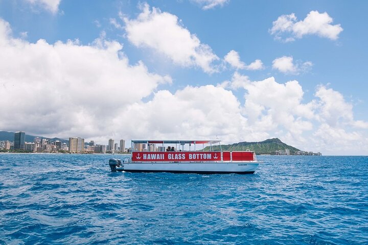 Glasbodem boottocht in Waikiki, Oahu, met uitzicht op zeeleven en Diamond Head, foto 9 | wizardtrip