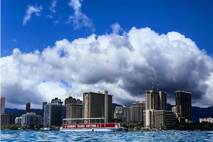Glasbodem boottocht in Waikiki, Oahu, met uitzicht op zeeleven en Diamond Head, foto 10 | wizardtrip