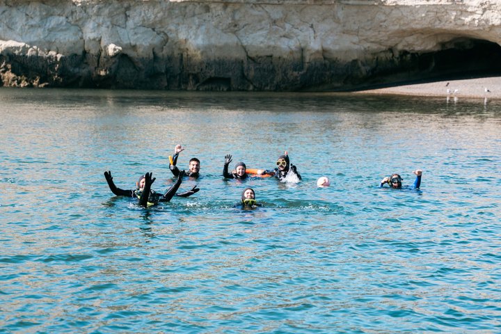 Aventura de snorkel con lobos marinos salvajes en Puerto Madryn, Argentina, foto 6 | wizardtrip