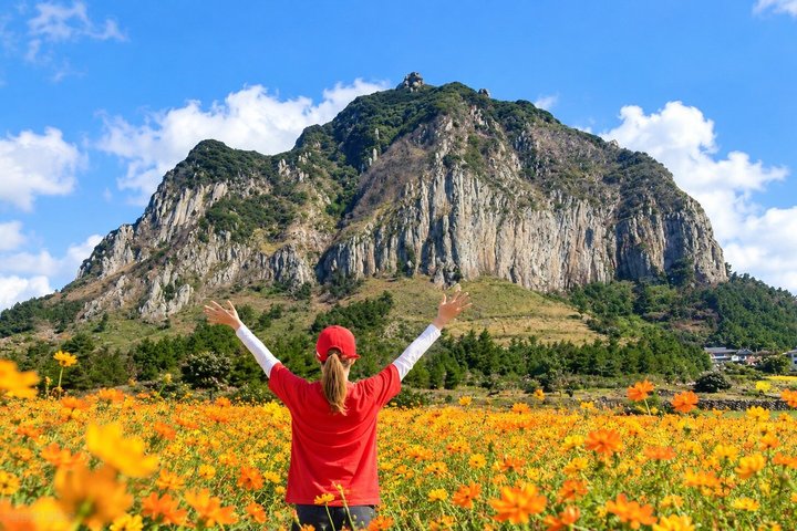 Jeju Sud-Ouest Essentiels : Hallasan & Points Forts Signature | wizardtrip