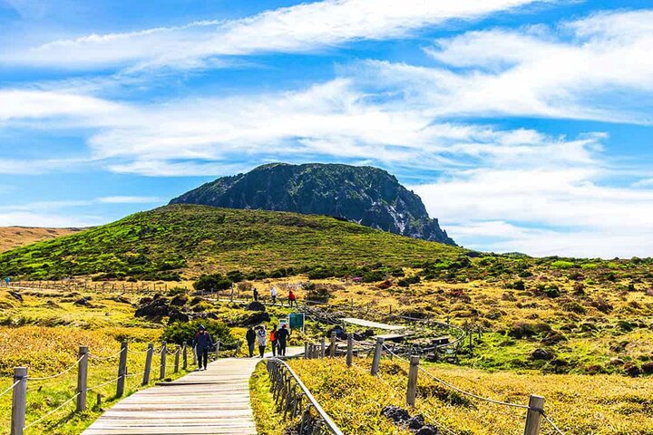 Entdecken Sie die atemberaubende Südwestküste von Jeju, von Vulkanfelsen bis zu ruhigen Teefeldern, auf einer geführten Tagestour, Foto 7 | wizardtrip