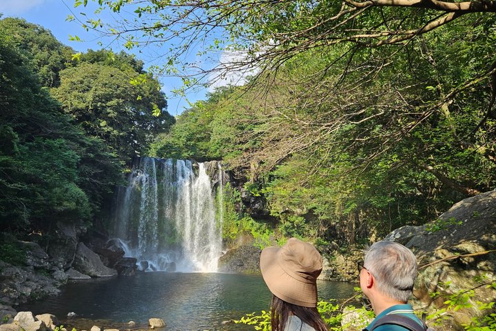 Entdecken Sie die atemberaubende Südwestküste von Jeju, von Vulkanfelsen bis zu ruhigen Teefeldern, auf einer geführten Tagestour, Foto 17 | wizardtrip