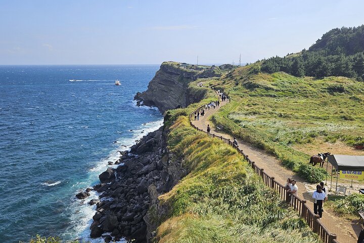Entdecken Sie die atemberaubende Südwestküste von Jeju, von Vulkanfelsen bis zu ruhigen Teefeldern, auf einer geführten Tagestour, Foto 23 | wizardtrip