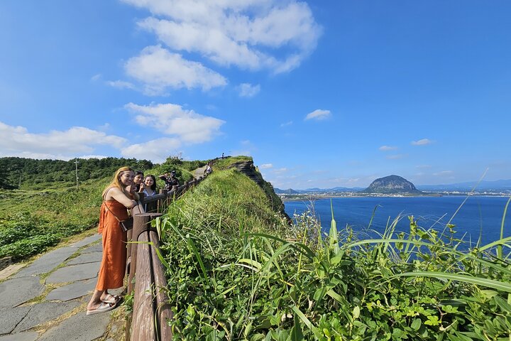 Entdecken Sie die atemberaubende Südwestküste von Jeju, von Vulkanfelsen bis zu ruhigen Teefeldern, auf einer geführten Tagestour, Foto 26 | wizardtrip