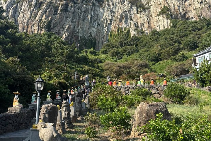 Entdecken Sie die atemberaubende Südwestküste von Jeju, von Vulkanfelsen bis zu ruhigen Teefeldern, auf einer geführten Tagestour, Foto 30 | wizardtrip