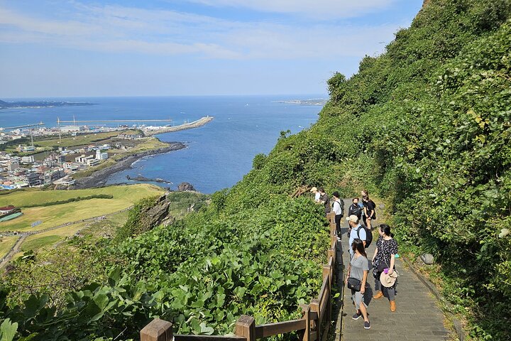 Explorez la côte Est de Jeju : sites UNESCO, plongeuses Haenyeo, cratères volcaniques et tubes de lave, photo 23 | wizardtrip