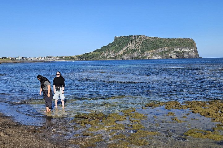 Explorez la côte Est de Jeju : sites UNESCO, plongeuses Haenyeo, cratères volcaniques et tubes de lave, photo 30 | wizardtrip