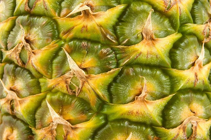 Besøg en fungerende ananasplantage på Maui, Hawaii, og smag frisk ananas, foto 12 | wizardtrip