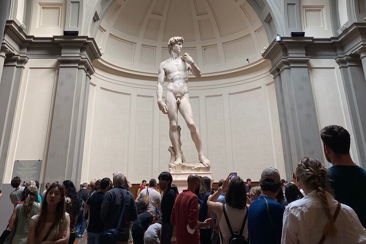 Guidad tur av Michelangelos David på Galleria dell'Accademia i Florens, Italien, foto 6 | wizardtrip