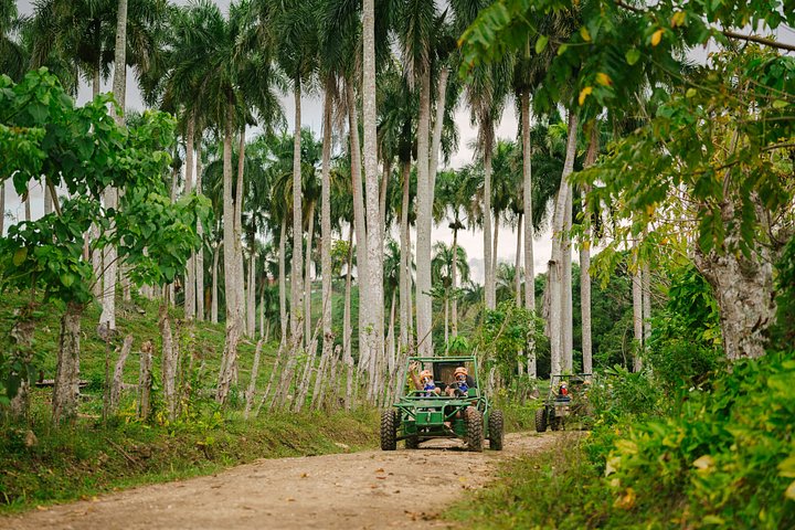 Experience ziplining, buggy rides, and horseback riding in Punta Cana's Hacienda Tuko Adventure Park, photo 13 | wizardtrip