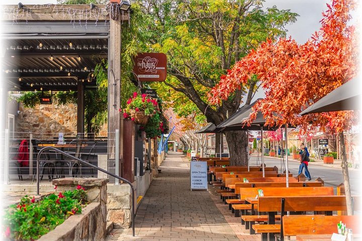 En naturskøn tur gennem South Australias Barossa Valley vinregion og den historiske tyske landsby Hahndorf, foto 7 | wizardtrip