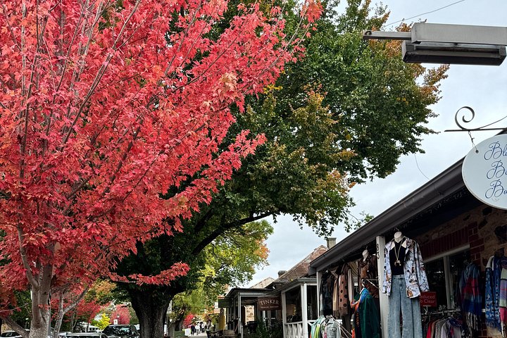 En naturskøn tur gennem South Australias Barossa Valley vinregion og den historiske tyske landsby Hahndorf, foto 20 | wizardtrip