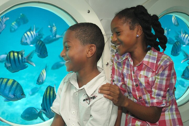 Erkunden Sie die lebendige Unterwasserwelt von Barbados auf einer U-Boot-Tour und entdecken Sie Meereslebewesen und Schiffswracks, Foto 8 | wizardtrip