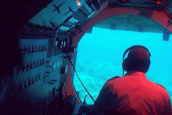 Erkunden Sie die lebendige Unterwasserwelt von Barbados auf einer U-Boot-Tour und entdecken Sie Meereslebewesen und Schiffswracks, Foto 9 | wizardtrip