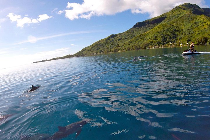 Spännande 3-timmars jetskitur på Moorea, utforska bukter och simma med marint liv, foto 7 | wizardtrip